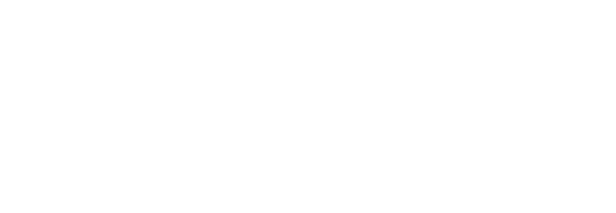 HOLESTORE × Platform White Studio